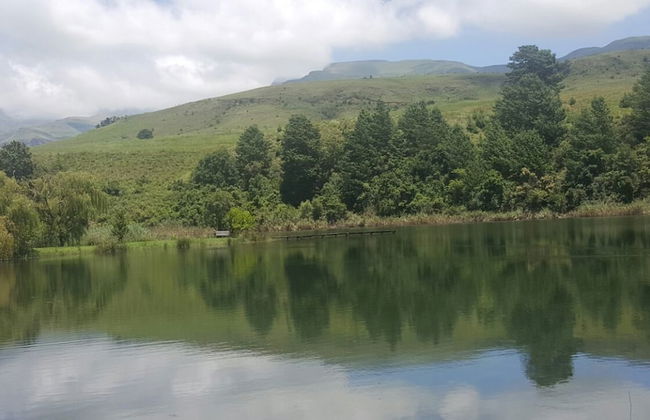 Bye Gums Cottage - Photo 22