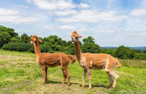 The Summerhouse, countryside retreat with private hot tub - Foto 28