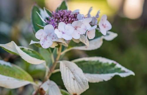 The Fairways - Foto 32