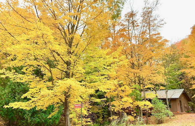 Hauser's Bayfield Cabin - Foto 57