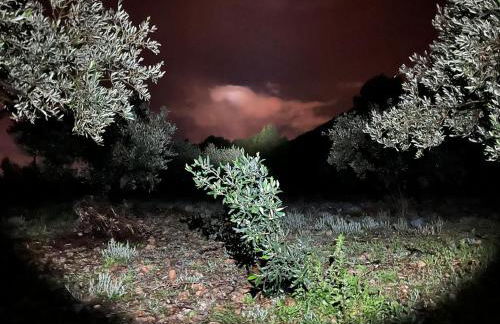 Casa El Flare - Foto 43