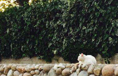 Paglia&Fieno - Photo 66