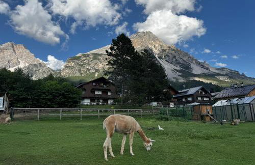 Appartamento La Finestra sul Pelmo - Foto 11