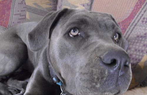 Ferienwohnung Ahrtalblick - Foto 79