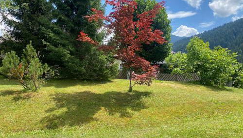 Villa Stella - Foto 3, Garden view