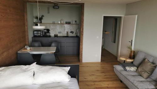 Sternstube – Appartement mit traumhaftem Weitblick - Foto 4