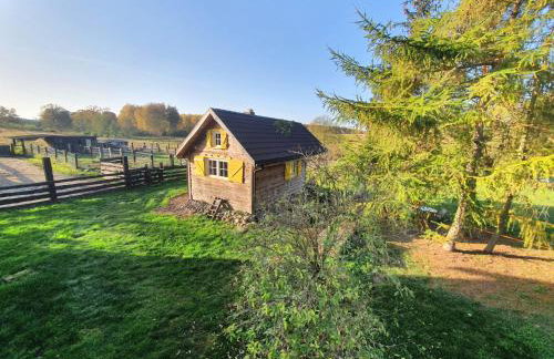 Ranczo Annabella - Foto 22