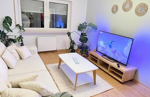 Ameis Nest - Photo 1