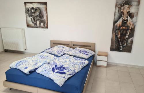 Fafa Home with Pool - Foto 28