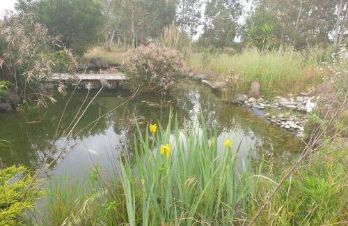 Roby's house, vivi la vacanza in relax (2L) - Foto 6