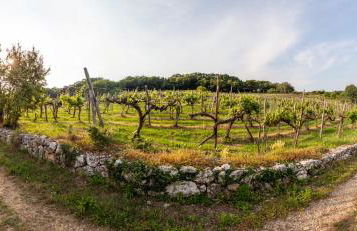 Fattoria Le Vegre - Foto 36