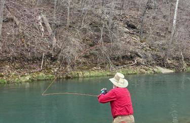 Belle Cottage - Photo 39