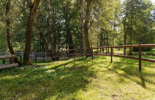 Cozy Holiday Home on a Horse Farm in the Luneburg Heath - Foto 54