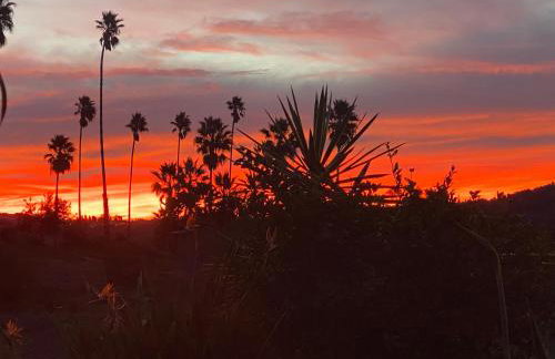 La Bella Vista Estate - Foto 15