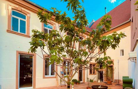 Boutique-Ferienwohnung im alten Weinhaus Moser - Foto 12