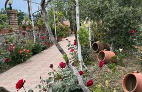 Apidalos Naus Apartment - Foto 25