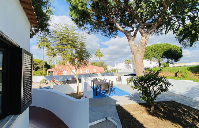 Azinheira CIP - Photo 30