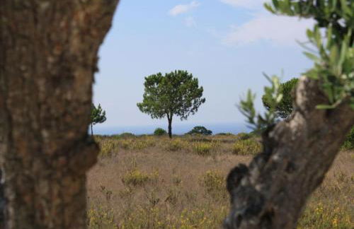 Villa Oasis Azul - Beautiful Villa With Heated Private Pool, Short Walk - Foto 21