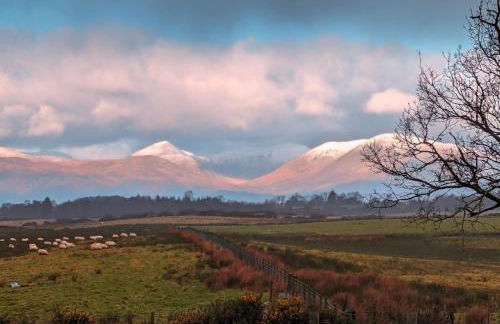FINN VILLAGE - Loch Lomond Sunset Glamping Pod - Private Ofuro HOT TUB - Foto 10