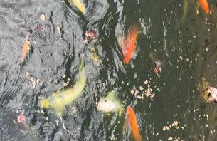 Casa do Lago Piscina aquecida Casa completa - Foto 74