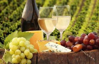 85 l idéal , quiet charm in Tours - Foto 27