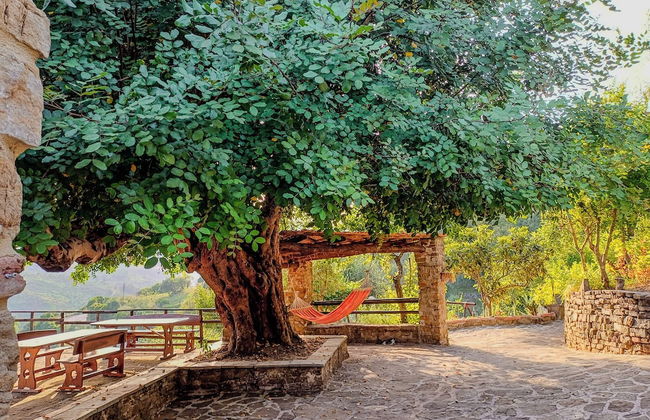 Casale storico nella campagna cilentana - Foto 35