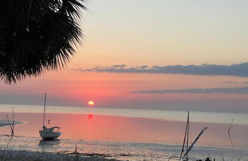 Cedar Key Turtle 132 - Foto 1