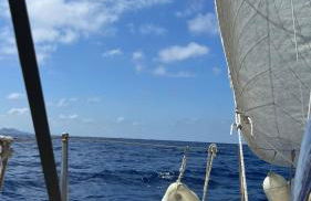 Unique Experience in Sailboat! In The 4 Seasons!! B shi - Photo 49