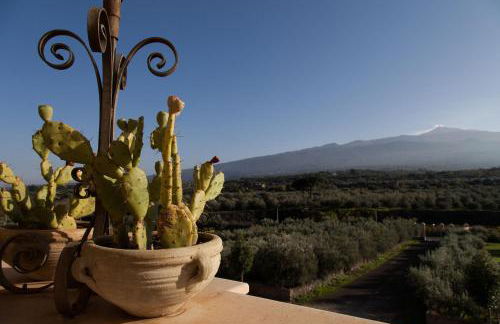 Feudo Vagliasindi -Wine Experience- - Foto 42