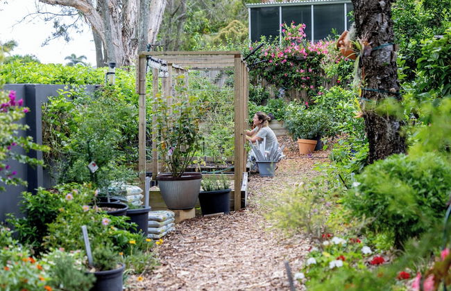 Allisee Apartments - Foto 37