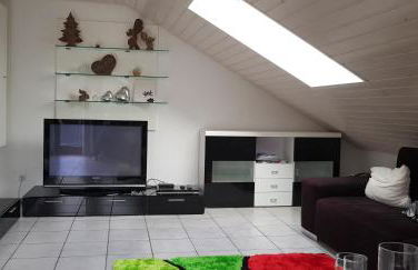 Jules Traum im Schwarzwald - Foto 25