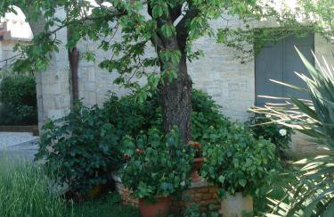 Apartmani Tijano - Photo 42