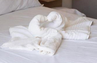 A Vida e tão Rara - Flat Malia térreo - Photo 13