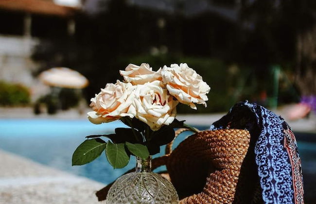 Lugar da Pedra Alta - Foto 46