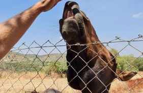 Cortijo Huerta Galindo - Foto 36