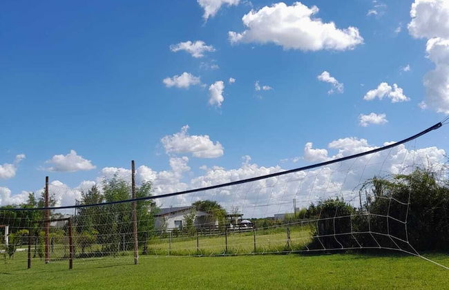 Olivos de Monte - Foto 50