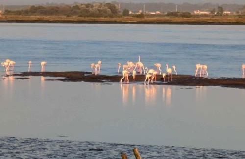 Casa Praia e Ria - Foto 61