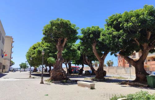 Alla Marina da Pina - Foto 27