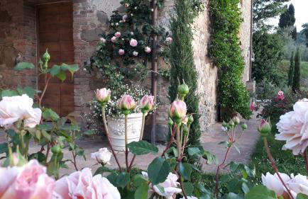 Podere Pievina Delle Corti - Dimora di Campagna - Photo 46