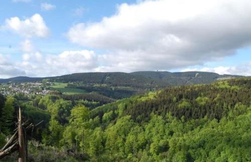 Apartment Landhaus Schneekopf by Interhome - Foto 21