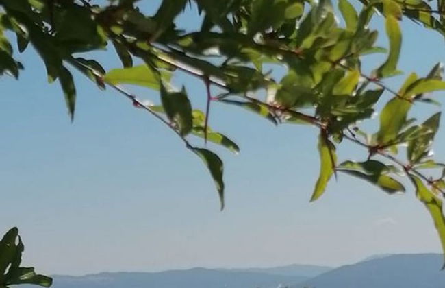 "la Casa Delle Bimbe" - Foto 25