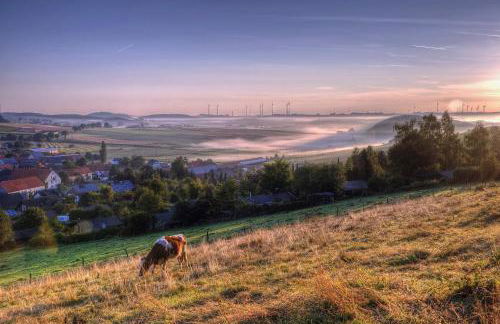 Diemelsee Sudeck - Ein Ferienhäuschen zum WOHLFÜHLEN - Foto 21