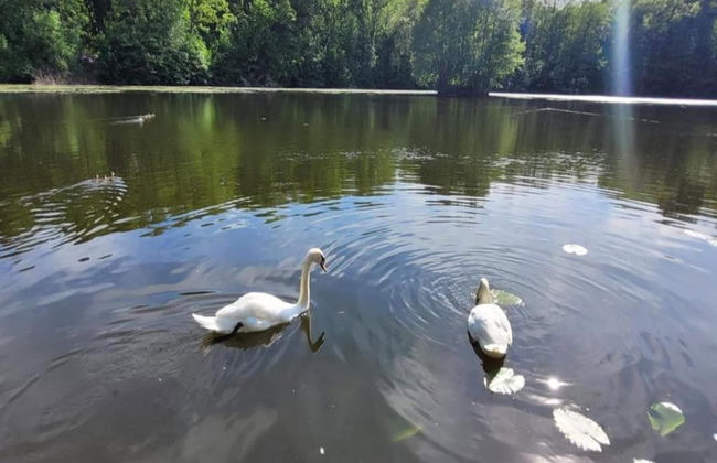 Ferienhaus in Meisdorf - Foto 39