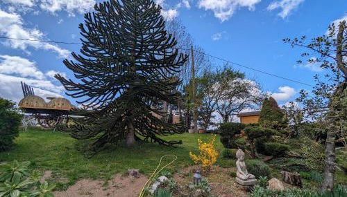 Roulotte cosy avec jacuzzi et spa, massages bien-être, nature et calme, près de Lyon - FR-1-582-477 - Foto 3