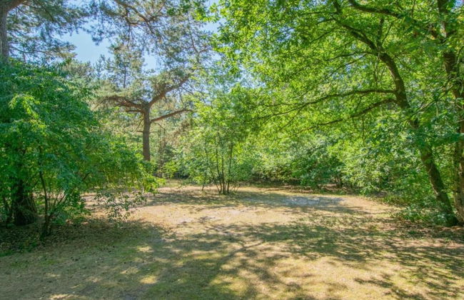 Luxury Villa in De Pier With Sauna - Photo 35