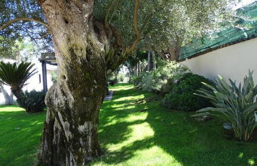 La casetta al maneggio - Foto 14