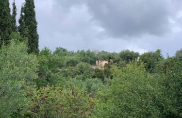 Villa Delfini - Foto 54