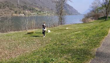 Appartamento Al Lago - Crone - Foto 5