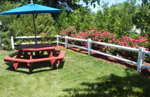 Elmwood Resort Hotel - Foto 33