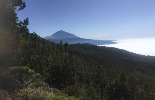 Residenz TraumBlick - Foto 21